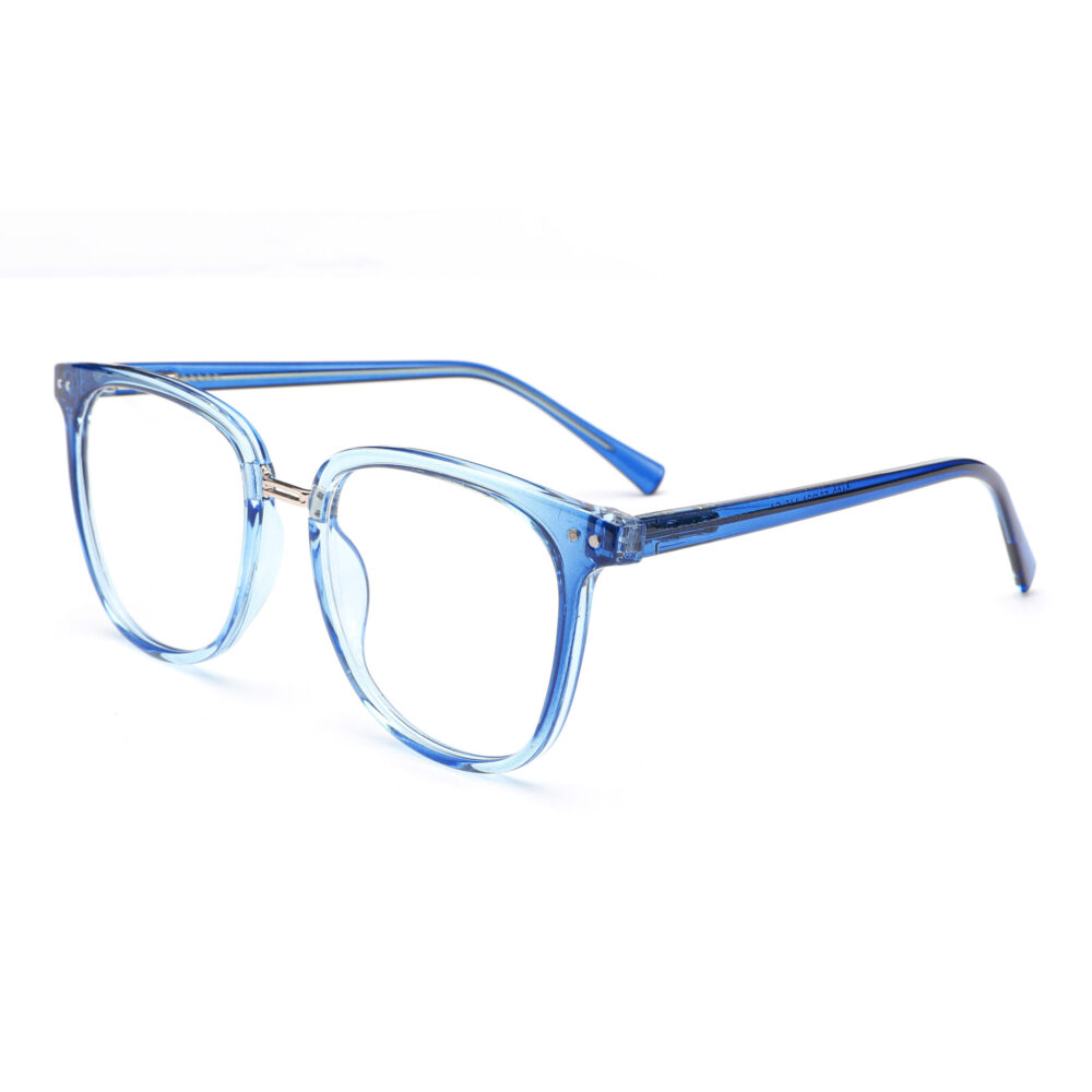 Wholesale Transparent Blue Blue Light Glasses 2102