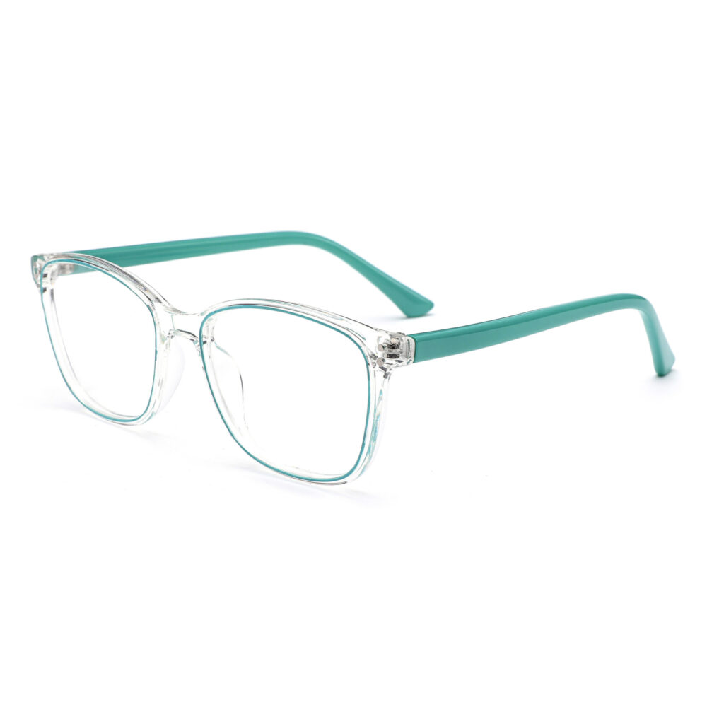 Transparent Clear Square Frame Eyewear 231074